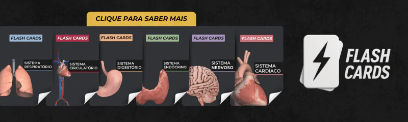 Flashcards de Fisiologia Humana