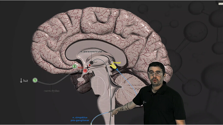Captura de tela 2025-09-01 193028