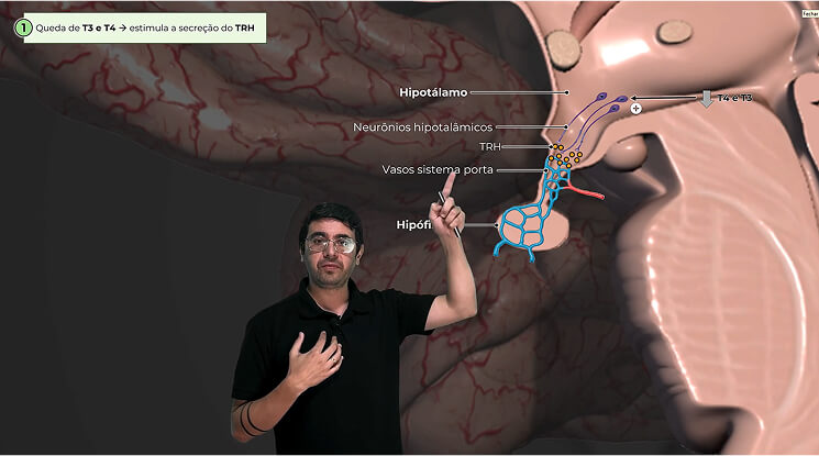 Captura de tela 2025-09-01 193102