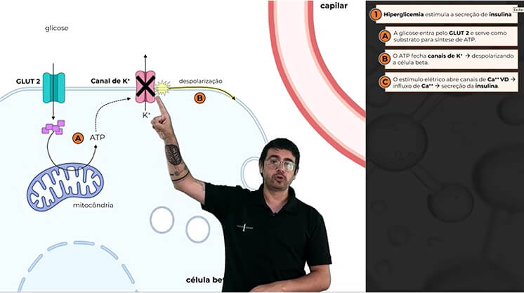 Captura de tela 2025-09-01 193336