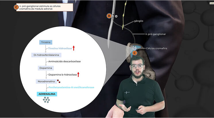 Captura de tela 2025-09-01 193503