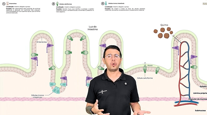 Captura de tela 2025-09-01 194119