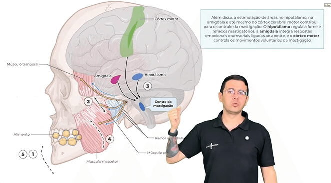 Captura de tela 2025-09-01 194151