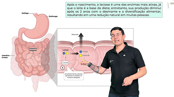 Captura de tela 2025-09-01 194235