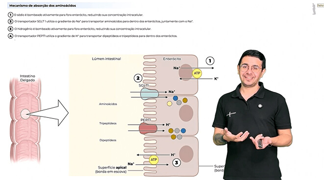 Captura de tela 2025-09-01 194335