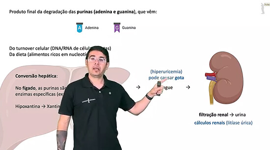 Captura de tela 2025-09-01 200012